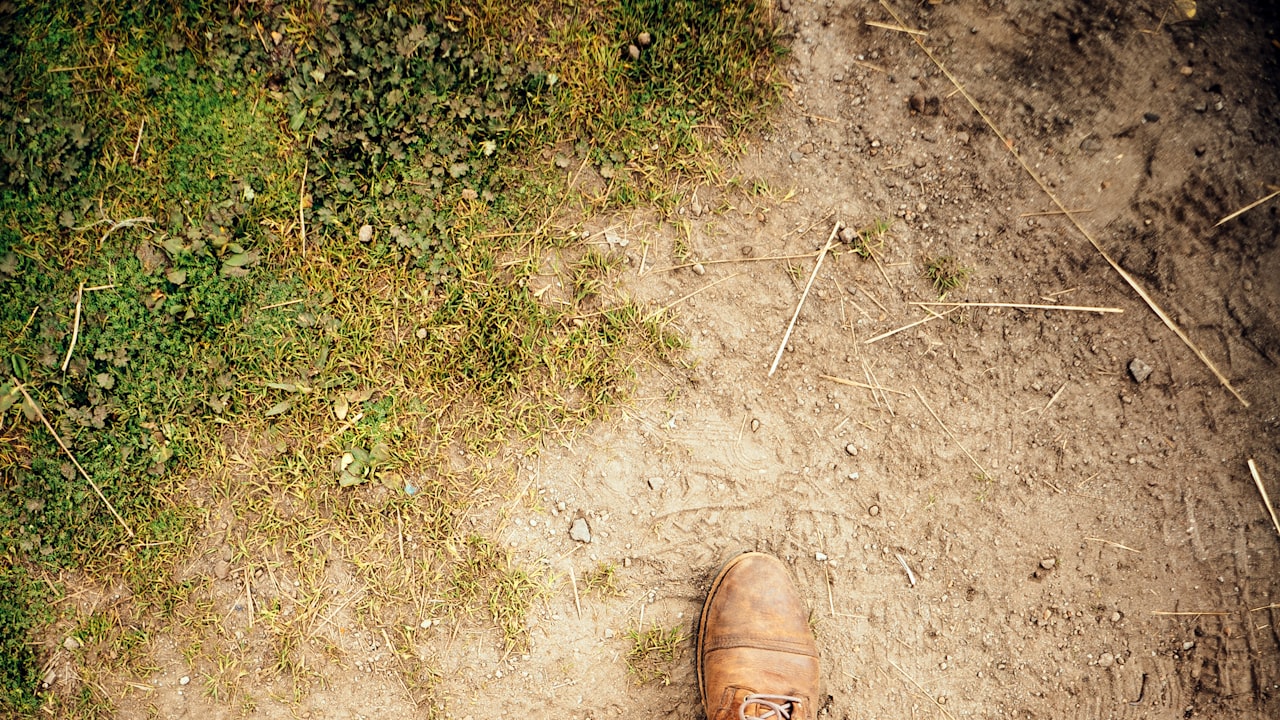 Factors That Will Affect Cost of Stack pants