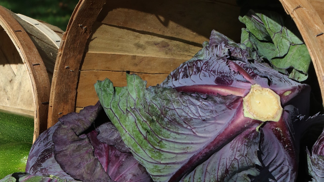 This Vegan Cauliflower Mac & Cheese Is Comfort in a Bowl