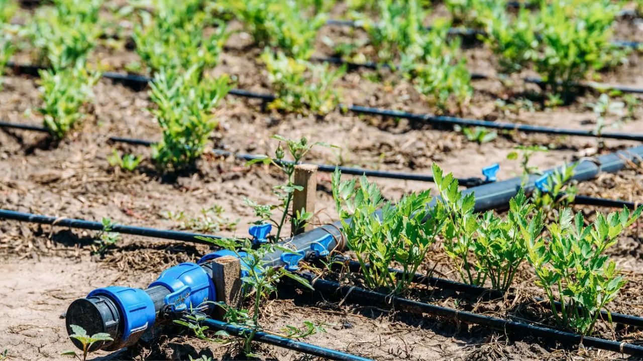 From Agriculture to Sports Equipment: DOM Pipes in Diverse Industries