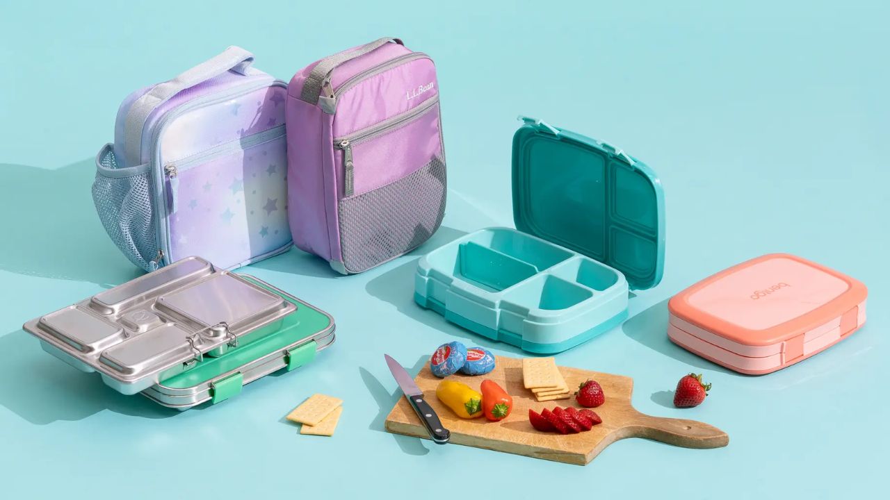 Everich Kids Lunch Boxes: Where Safety Meets Colourful Creativity